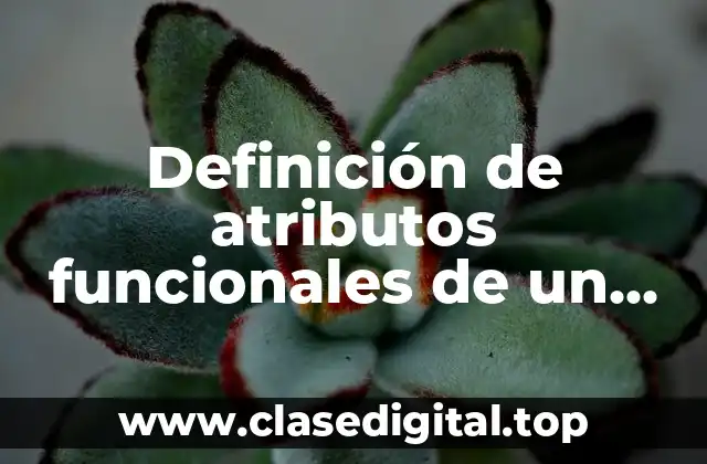Definición de atributos funcionales de un producto x