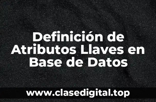 Definición Técnica de Atributos Llaves en Base de Datos