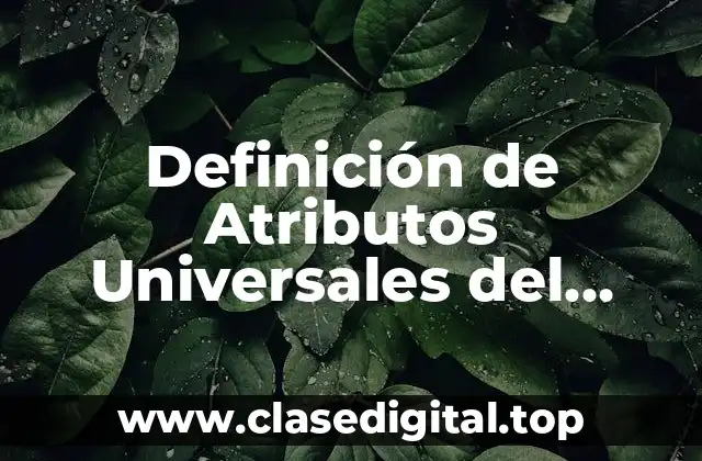 Definición de Atributos Universales del Servicio