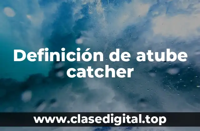 ✳️ Definición técnica de atube catcher