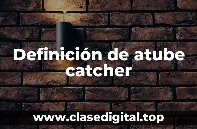 Definición de atube catcher