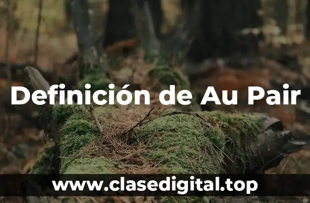 Definición de Au Pair