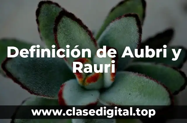 Definición de Aubri y Rauri