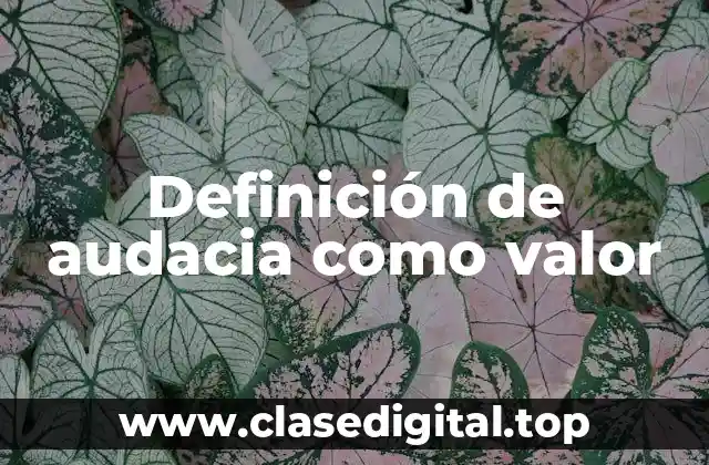Definición de audacia como valor