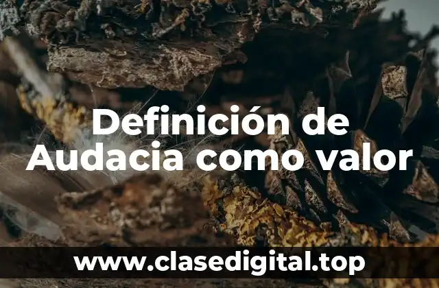 Definición técnica de Audacia