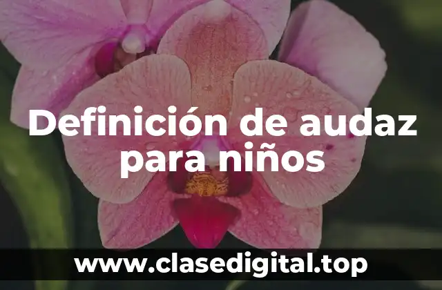 Definición de audaz para niños