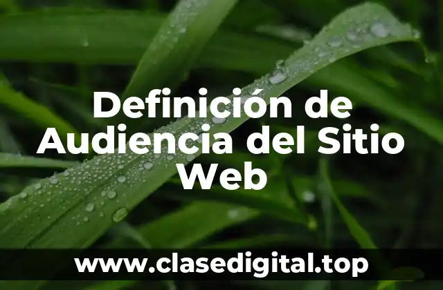 Definición de Audiencia del Sitio Web