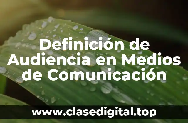 Definición de Audiencia en Medios de Comunicación