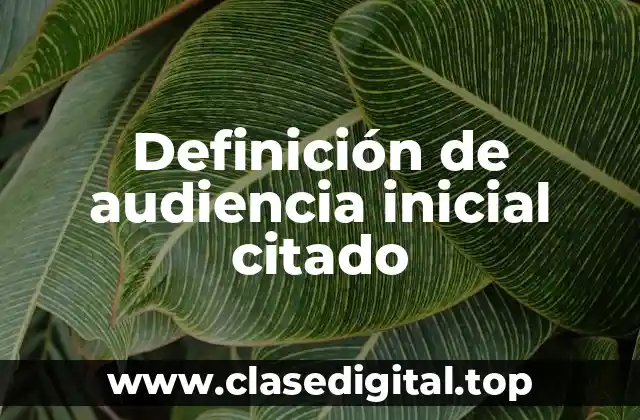 Definición de audiencia inicial citado