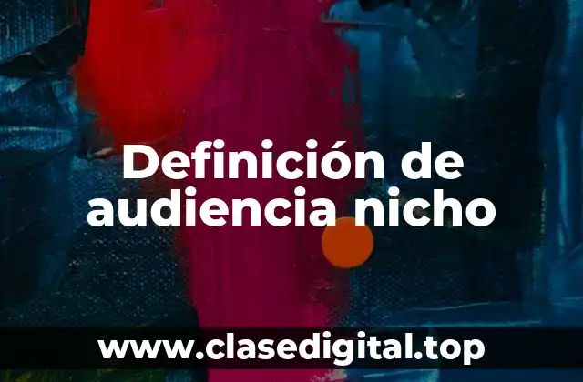 Definición técnica de audiencia nicho
