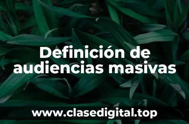 Definición de audiencias masivas
