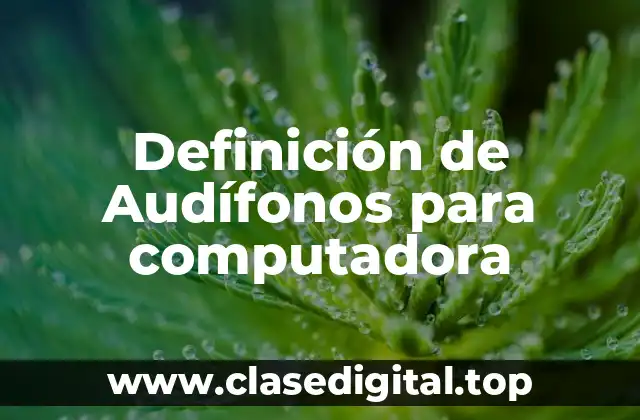 Definición de Audífonos para computadora