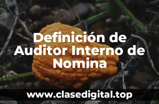 Definición de Auditor Interno de Nomina