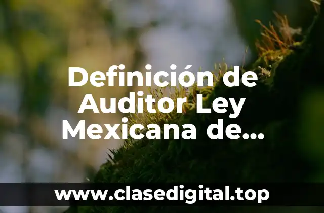 Definición de Auditor Ley Mexicana de Contadores