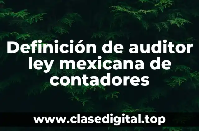 Definición técnica de auditoría ley mexicana de contadores
