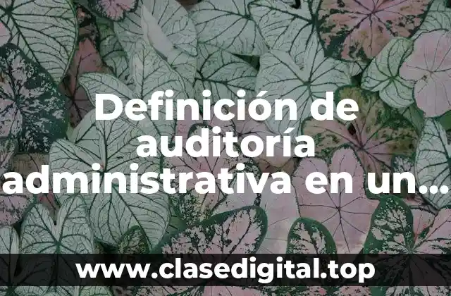 Definición de auditoría administrativa en un restaurante