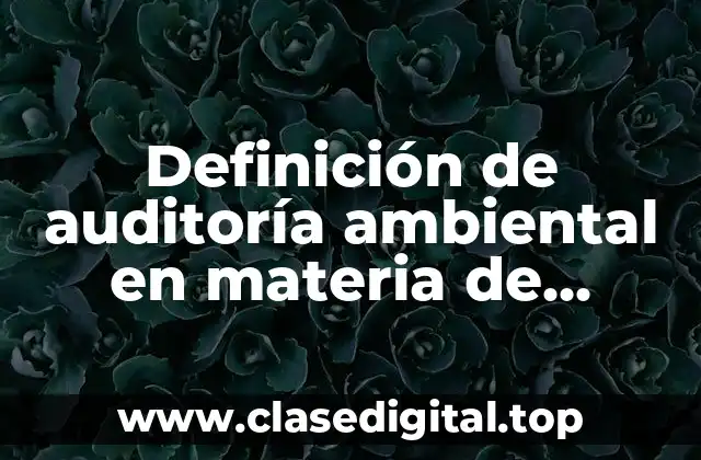 Definición de auditoría ambiental en materia de riesgos