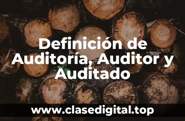 Definición de Auditoría, Auditor y Auditado