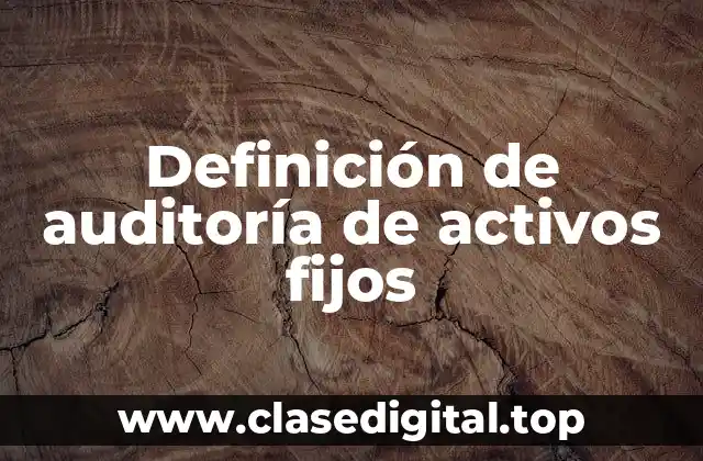 Definición de auditoría de activos fijos