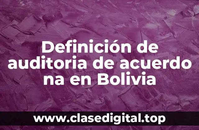 Definición de auditoria de acuerdo na en Bolivia