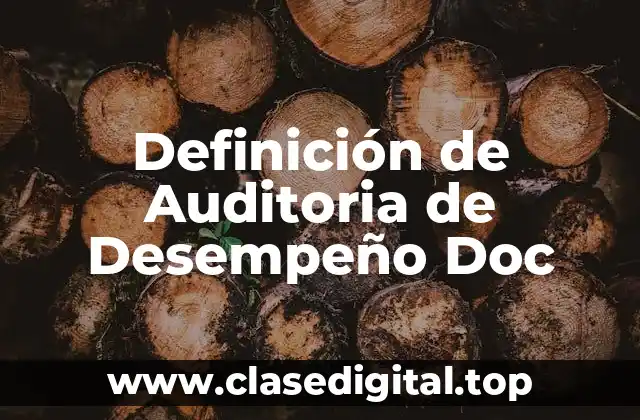 Definición de Auditoria de Desempeño Doc