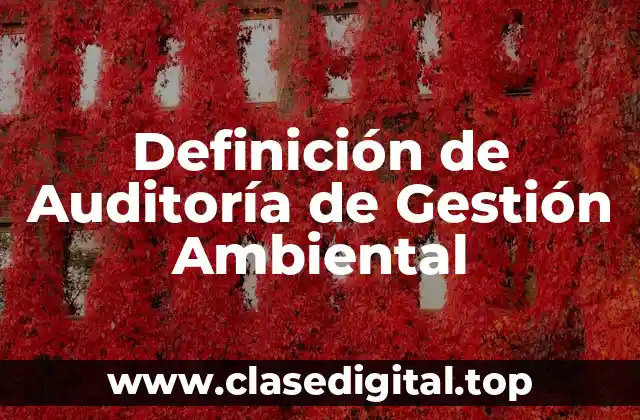 Definición de Auditoría de Gestión Ambiental