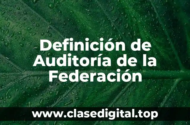 Definición de Auditoría de la Federación