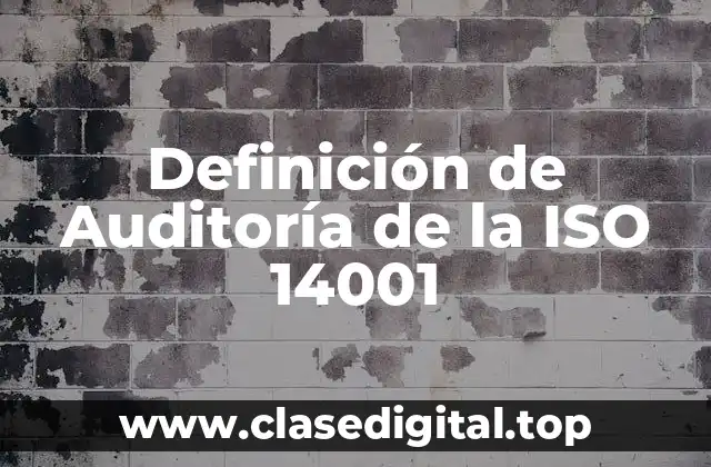 Definición de Auditoría de la ISO 14001