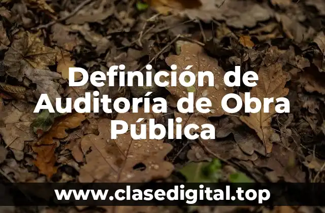 Definición de Auditoría de Obra Pública