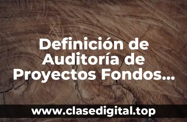 Definición de Auditoría de Proyectos Fondos USAID
