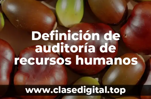 Definición de auditoría de recursos humanos
