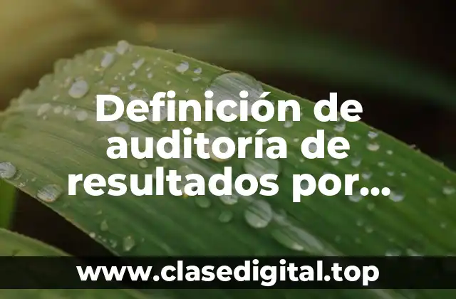 Definición de auditoría de resultados por programas