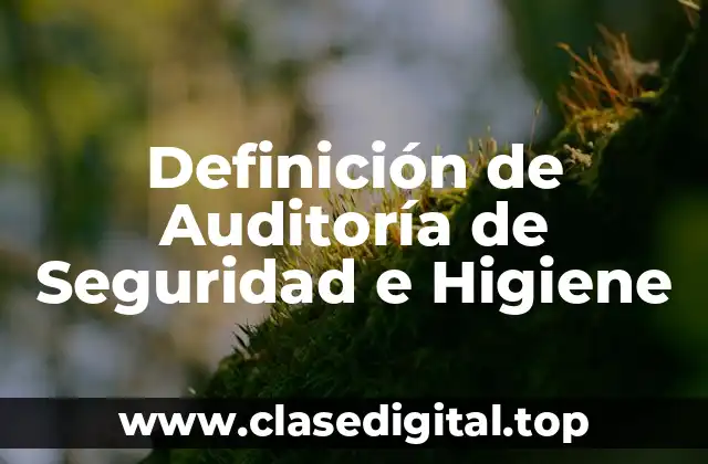 Definición de Auditoría de Seguridad e Higiene