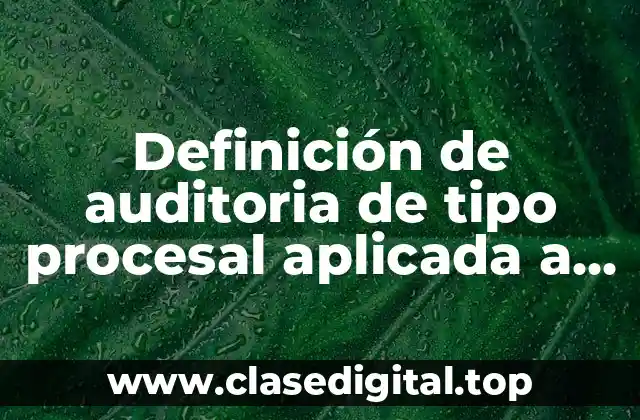 Definición de auditoria de tipo procesal aplicada a una empresa