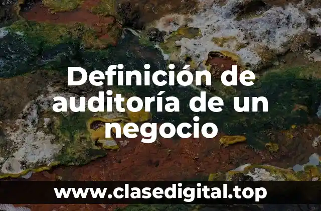 Definición de auditoría de un negocio
