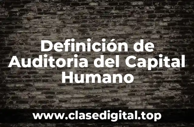 Definición de Auditoria del Capital Humano