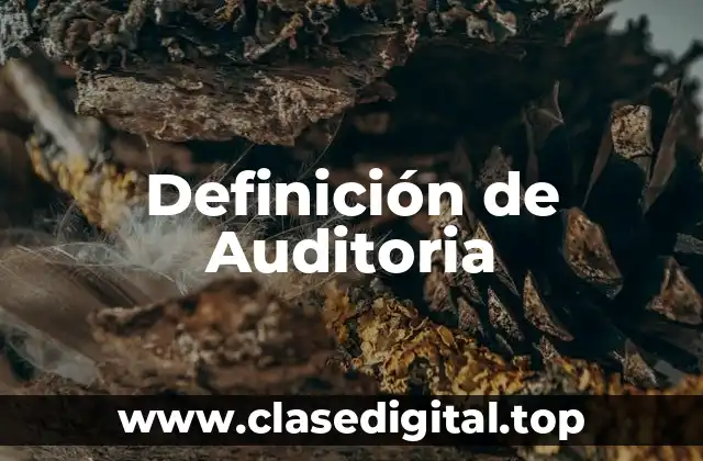 Definición técnica de Auditoria