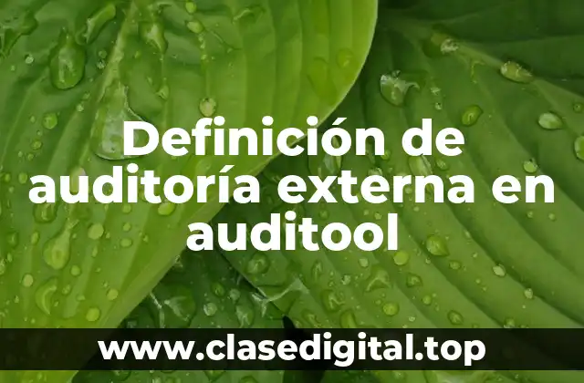 Definición de auditoría externa en auditool