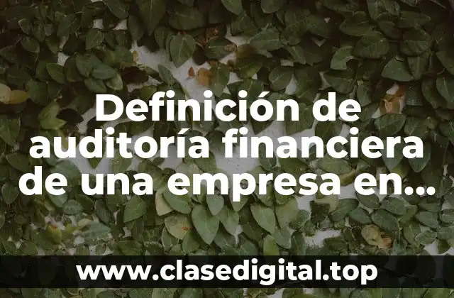 Definición de auditoría financiera de una empresa en Colombia