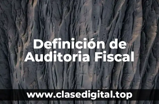 Definición de Auditoria Fiscal