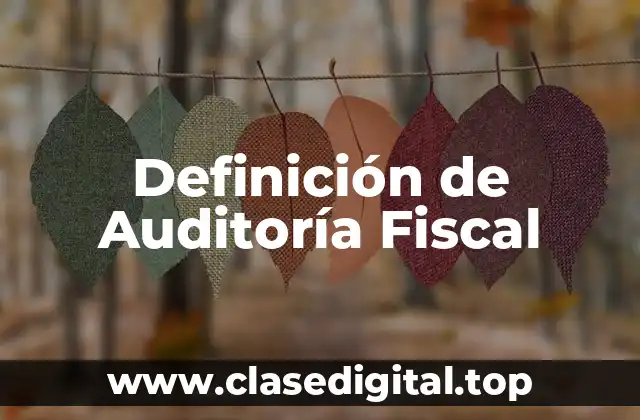 Ejemplos de Auditoría Fiscal