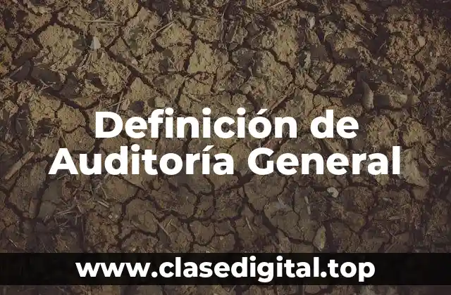 Definición de Auditoría General
