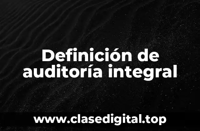 Definición de auditoría integral