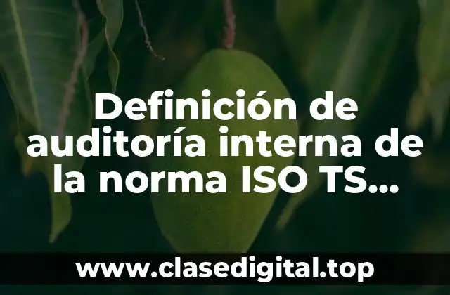 Definición de auditoría interna de la norma ISO TS 16949