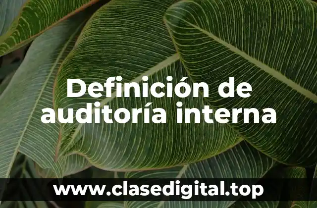 Definición de auditoría interna