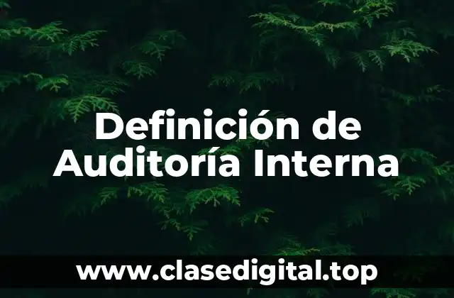 Definición técnica de Auditoría Interna