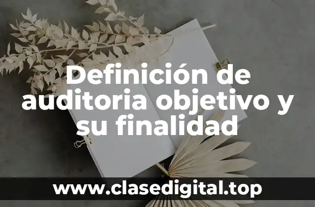 Definición de auditoria objetivo y su finalidad