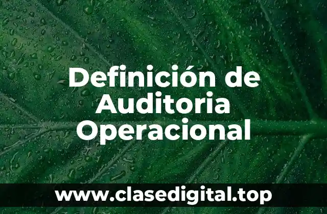 Definición de Auditoria Operacional