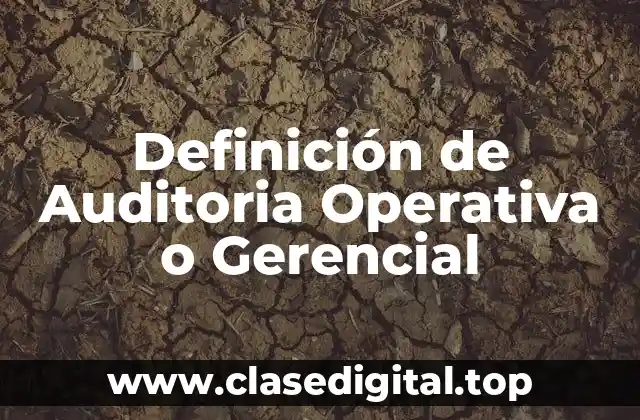 Definición de Auditoria Operativa o Gerencial