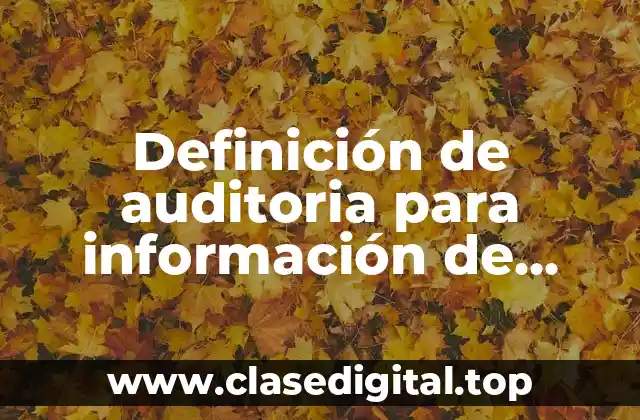Definición de auditoria para información de tecnología